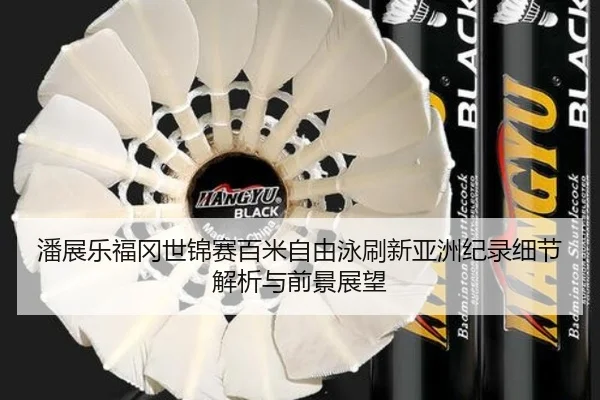 潘展乐福冈世锦赛百米自由泳刷新亚洲纪录细节解析与前景展望