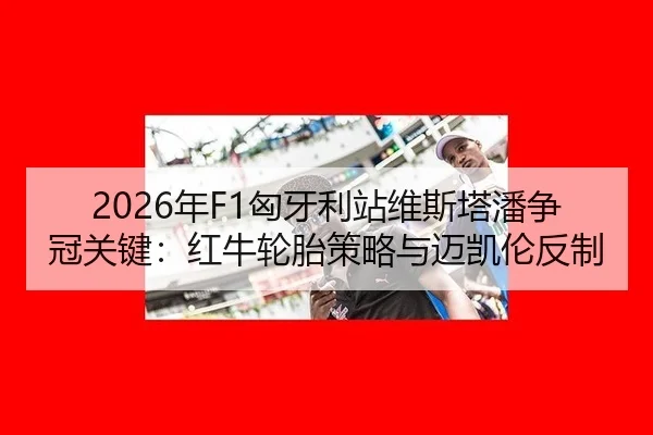 nian-xiong-ya-li-zhan-wei-si-ta-pan-zheng-guan-guan-jian-hong-niu-lun-tai-ce-lve-yu-mai-kai-lun-fan-zhi-3-869.jpg